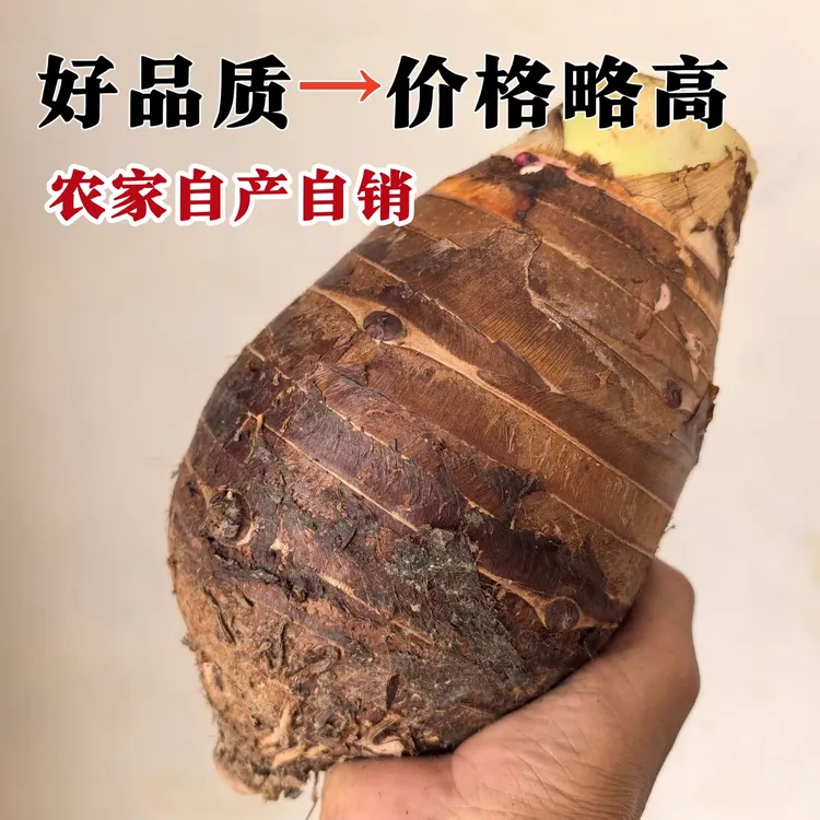 [优质荔浦芋头]农村3斤5斤新鲜现挖粉糯香甜正宗香芋芋头绿色特产