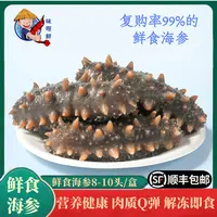 味哩鲜 鲜食海参500g/盒8-10头辽参礼盒装8A品质即食