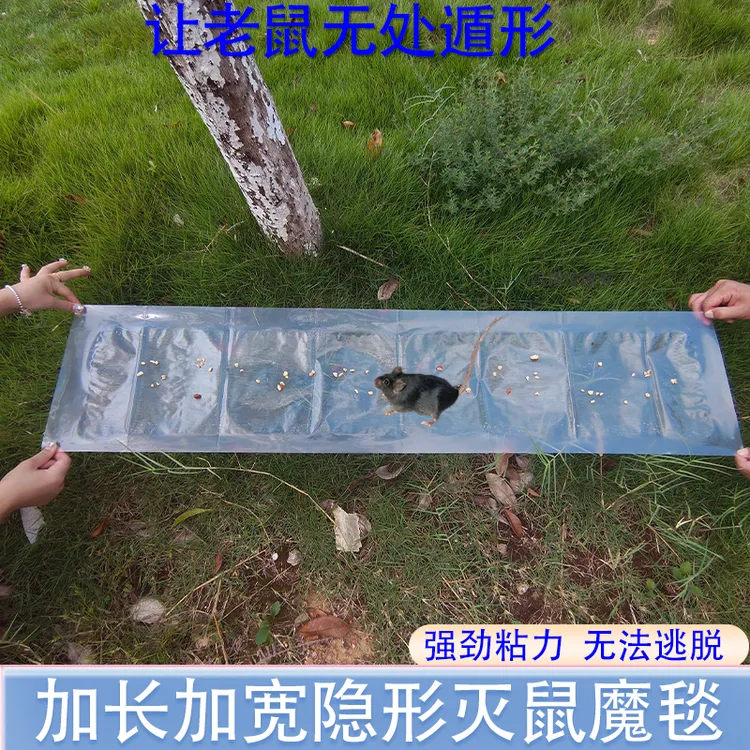 隐形强力粘鼠板毯抓老鼠贴黏板胶灭鼠家用克星一窝端捕鼠神器加厚
