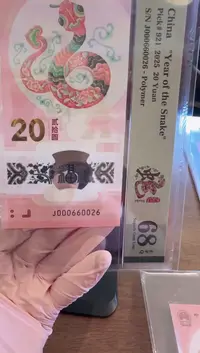 塑料2025蛇钞单张啊啊啊啊