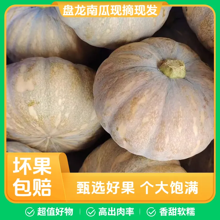 新鲜采摘盘龙南瓜磨盘圆南瓜赖皮南瓜新鲜软糯香甜