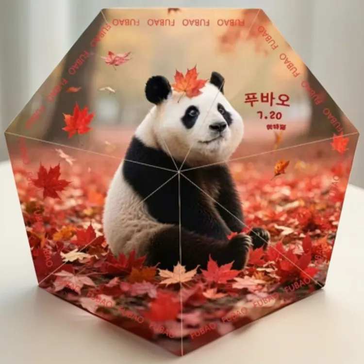 大熊猫福宝枫叶定制版太阳伞