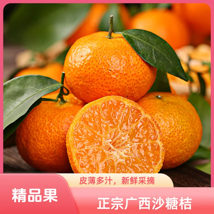 正宗广西沙糖桔薄皮鲜甜多汁细腻化渣新鲜采摘应季水果柑橘砂糖橘