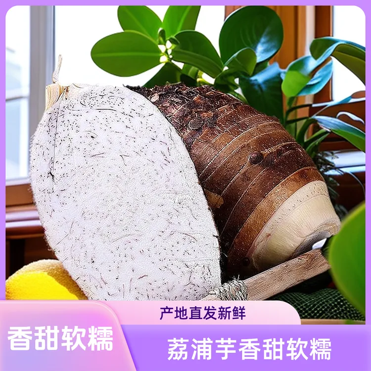 荔浦芋广西荔浦芋头正宗香糯粉质肉质细腻农家特产新鲜蔬菜香芋