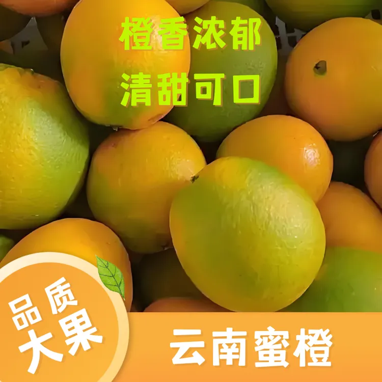 【云满堂好物】云南现摘蜜橙应季新鲜水果产地直发香甜多汁