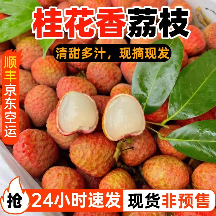 2025年荔枝新鲜水果精品海南桂花香肉厚现采摘发空运包邮整箱尝鲜