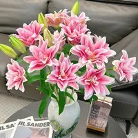 【云舍花卉】【西亚拉】重瓣百合全场任意两单及以上鲜花包邮发货