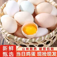 田农肴【现捡现发】50枚农家土鸡蛋山林散养谷物喂养新鲜鸡蛋
