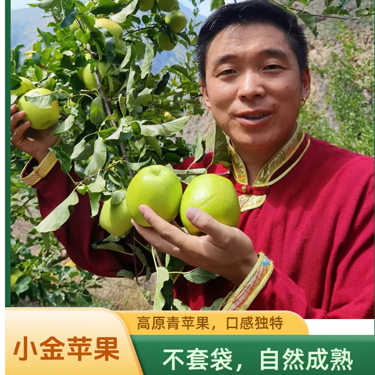 【阿斌优选】高原小金县青苹果不套袋不打蜡口感脆产地直发顺丰包邮