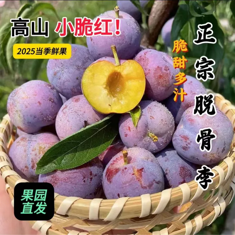 【京东包邮】四川脆红李子高山脆甜脱骨李当季鲜果农家自种现摘现发