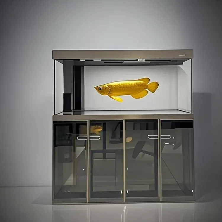 极简工业风大龙缸