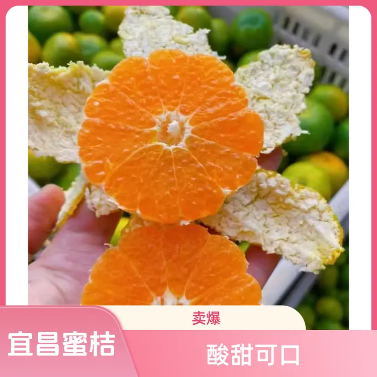 宜昌无籽蜜桔橘子薄皮多汁酸甜适中