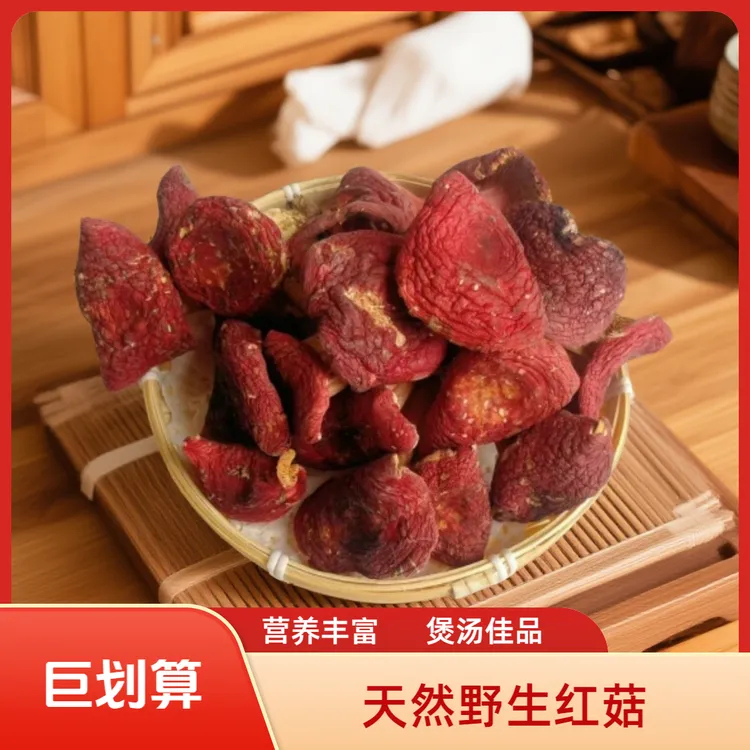 【标菇】今年头茬伏牛山野生大红菌红菇大菇蕾无添加无熏硫煲汤肉厚