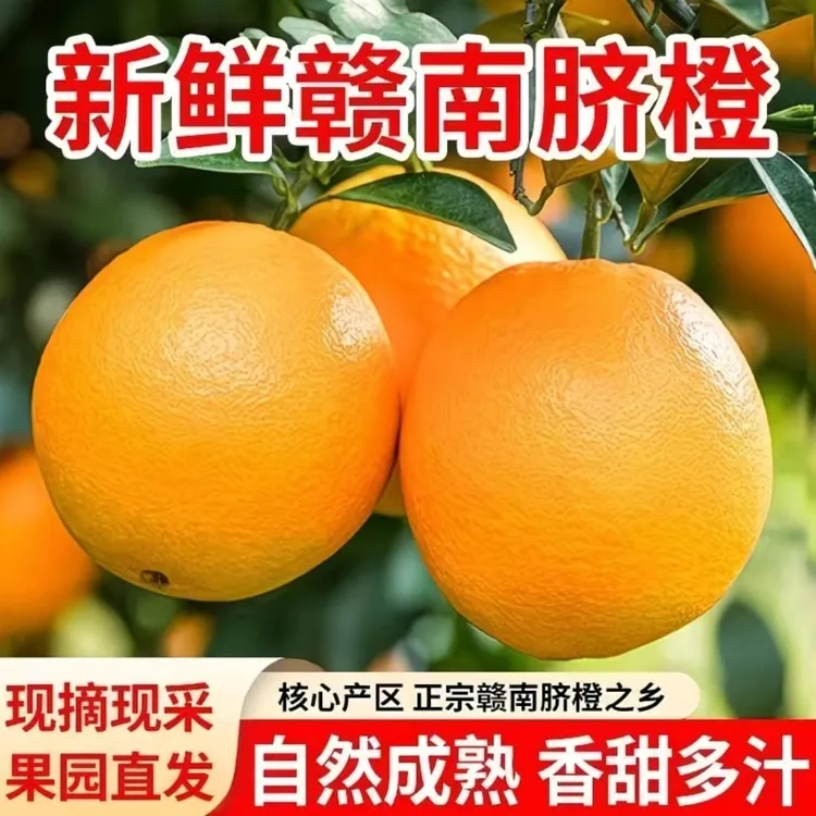 正宗赣南脐橙应季水果新鲜现摘皮薄肉多产地直发彩箱包邮