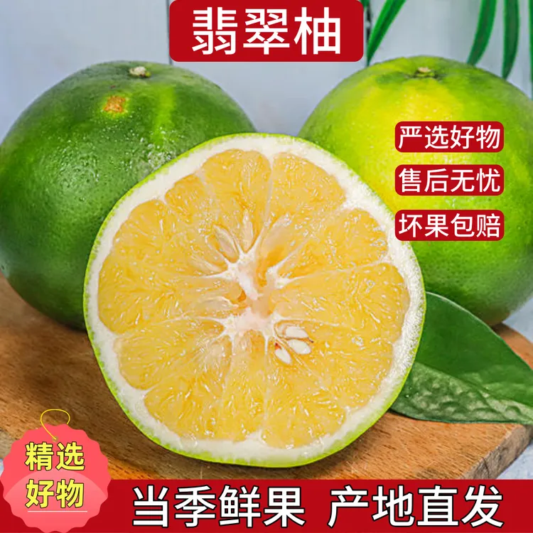 【三三专属】【送榨汁器】翡翠柚青柚新鲜应季当季柚子现摘现发