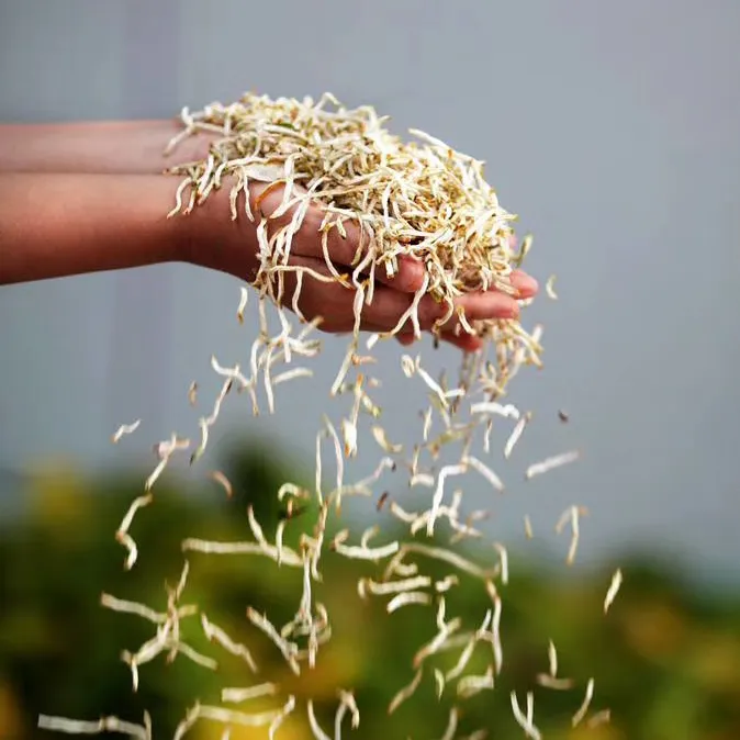 精选无硫佛手干片可搭配枸杞陈皮桂圆泡茶泡水的中药材【散装】