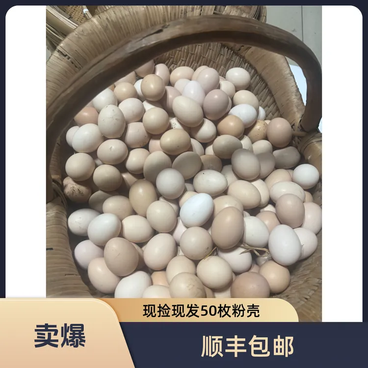 新鲜农家散养土鸡蛋 沂蒙山马头崮 现捡现发/粉壳/50枚 顺丰包邮
