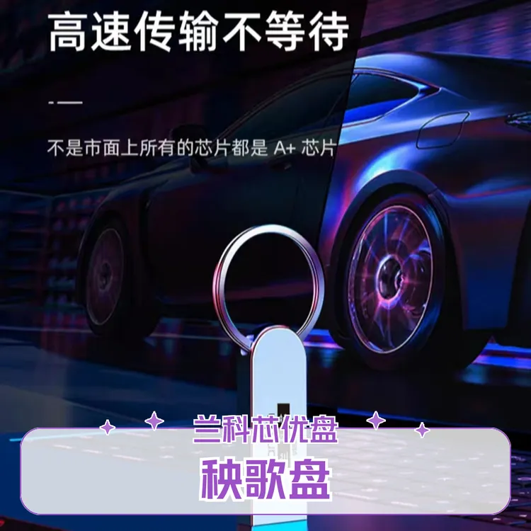 2号2024，兰科芯8G储存卡，闪存卡，车载通用高速