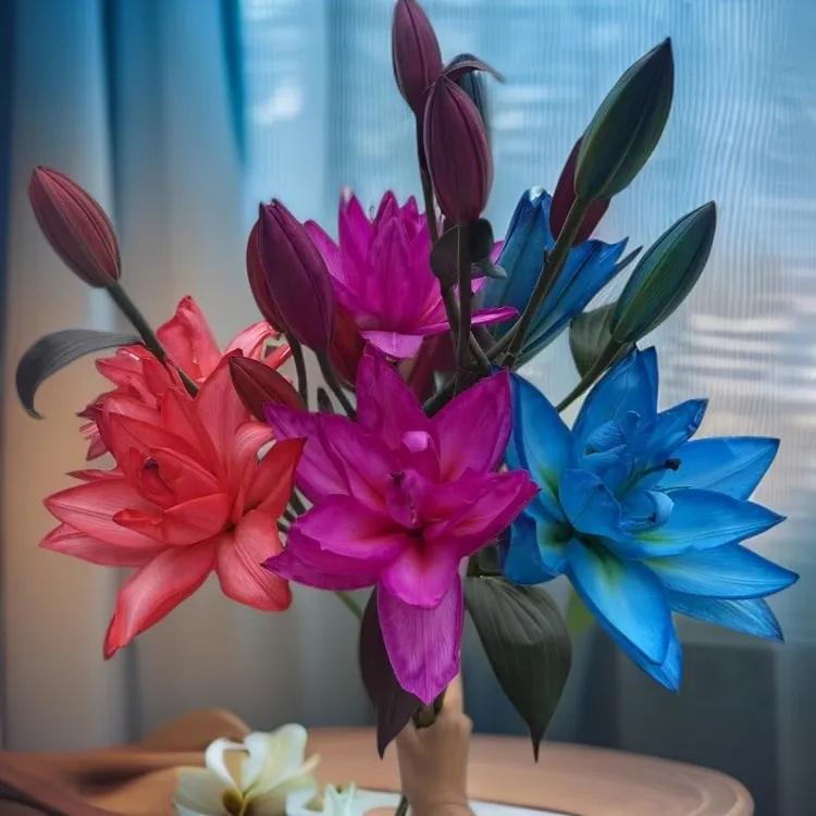 吸色百合大集合【节日送礼/家居装饰/浪漫表白】三场景适配顺丰冷链