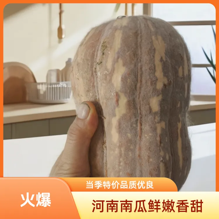 河南农家小金香南瓜软面香甜板栗南瓜老少皆宜贝贝小金香花生南瓜