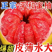 福建平和红心蜜柚当季新鲜水果柚子皮薄肉厚汁水多适合孕妇