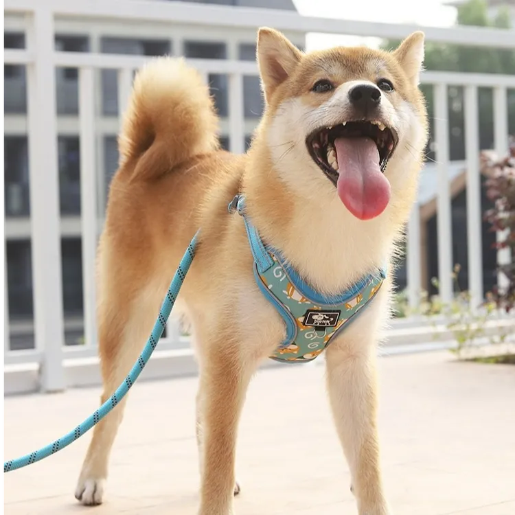 狗狗牵引绳背心式中小型犬柴犬柯基遛狗绳子轻便透气可调节胸背带