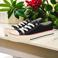 帆布鞋7023春季新款休闲风低跟平底圆头纯色系带女鞋24C