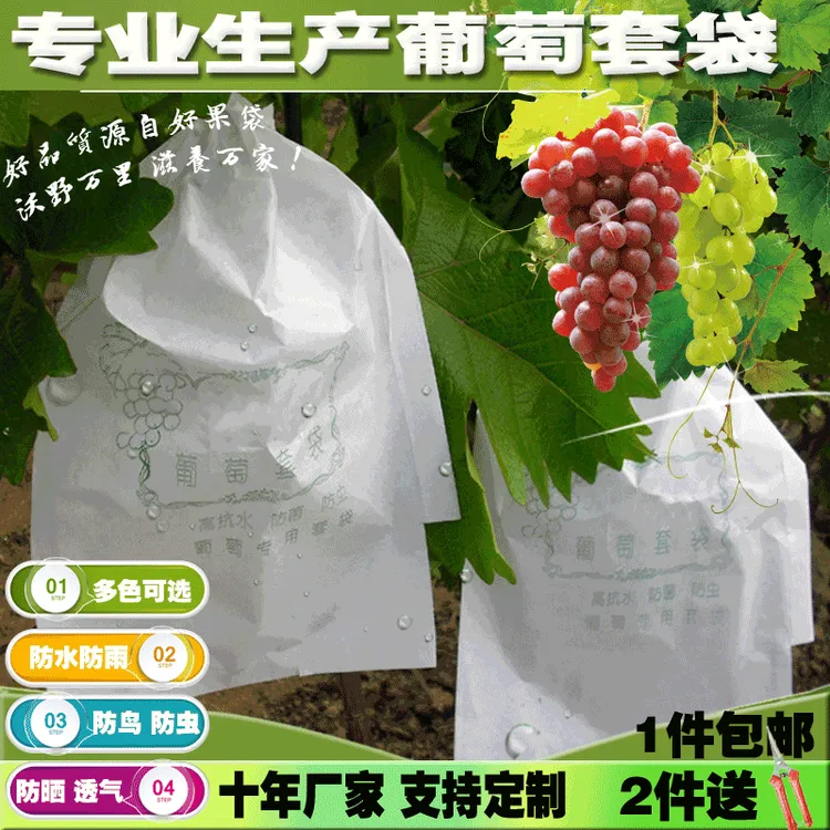 葡萄套袋白色防雨水防鸟虫绿色蓝三色阳光玫瑰套袋加厚芒果枇杷袋