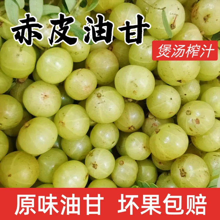 赤皮油甘果潮汕橄榄果余甘子余甘果新鲜采摘500克美味