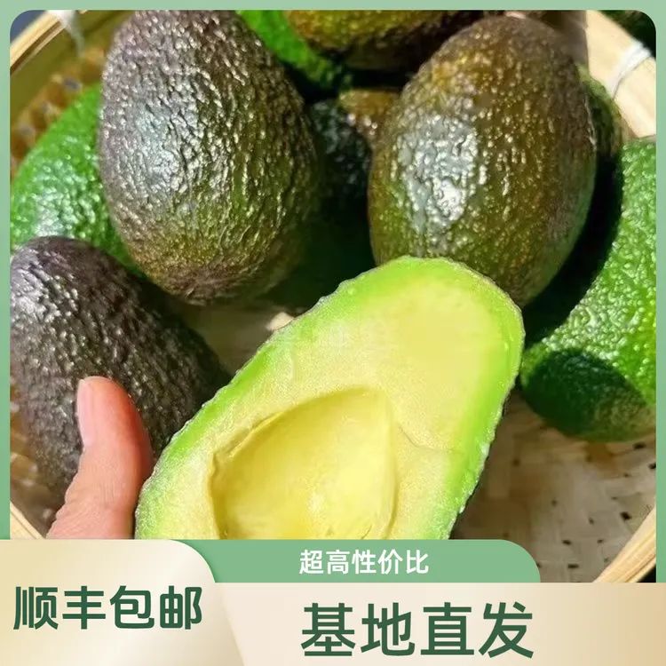 【顺丰发货】云南孟连国产正宗哈斯牛油果当季鲜果高山种植 