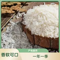 长粒香大米10斤晚稻长粒大米5KG