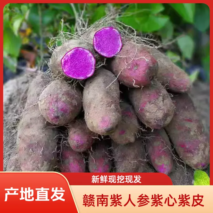 农家特产营养脚板薯紫大薯赣南紫人参紫心紫皮新鲜蔬菜现挖现发
