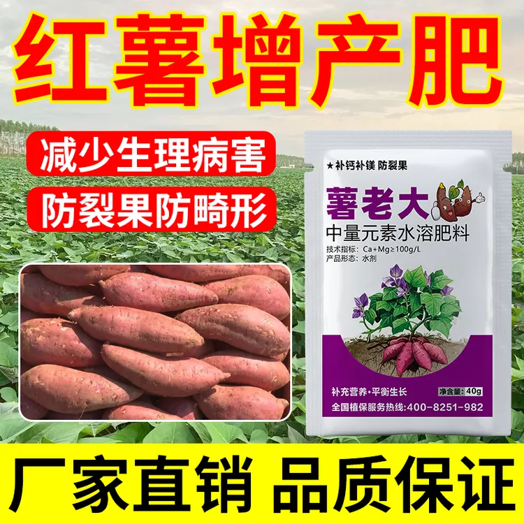 红薯薯老大补钙补镁微生物菌剂增粗防裂果防畸形增粗膨大水溶肥料
