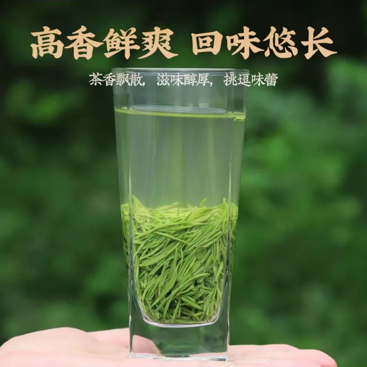 [信阳毛尖]雨前 2025新茶大别山高山云雾生态茶叶谷雨前茶叶