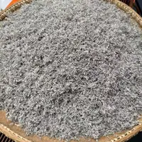 君君优选 湖南张家界芽尖紫莓茶 9月24