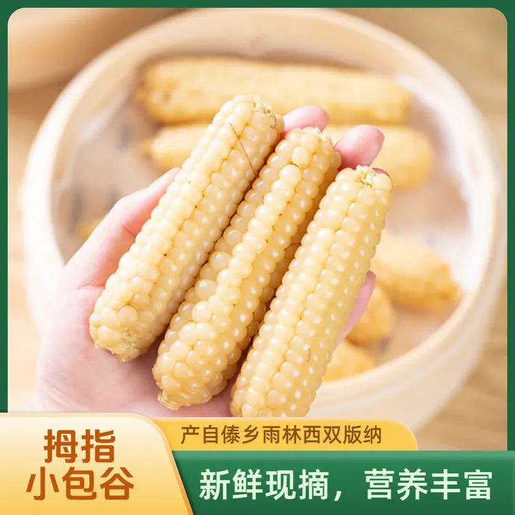 西双版纳拇指小玉米甜糯当季采摘真空锁鲜软糯香甜幼儿孕妇喜欢吃