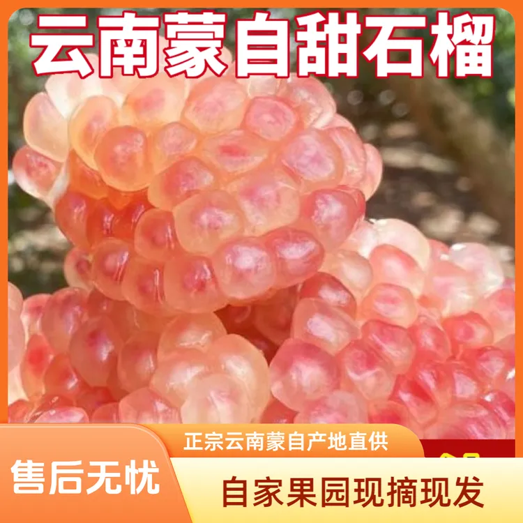 正宗云南蒙自绿籽薄皮甜石榴硬籽清甜多汁自家果园现摘现发包邮