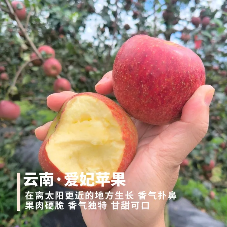 国产爱妃苹果  云南 果肉硬脆 纯甜多汁 香气独特扑鼻3斤装顺丰