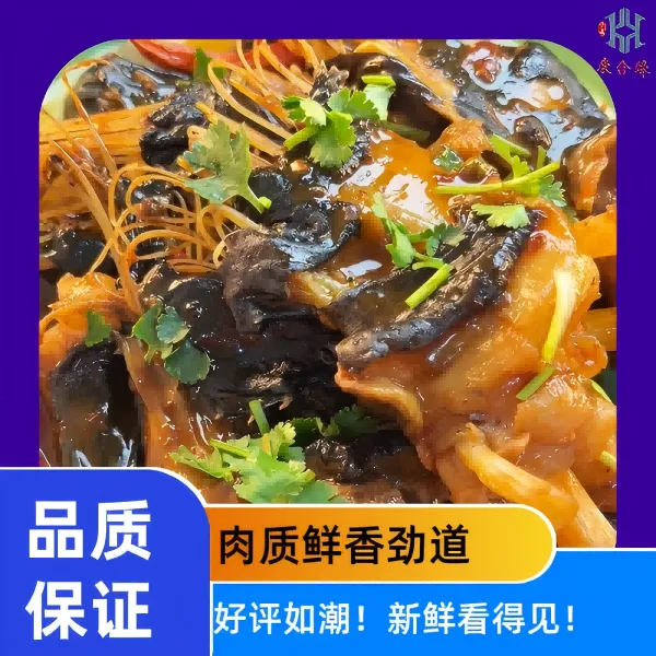 精选安康鱼翅品质上乘口感鲜美海鲜