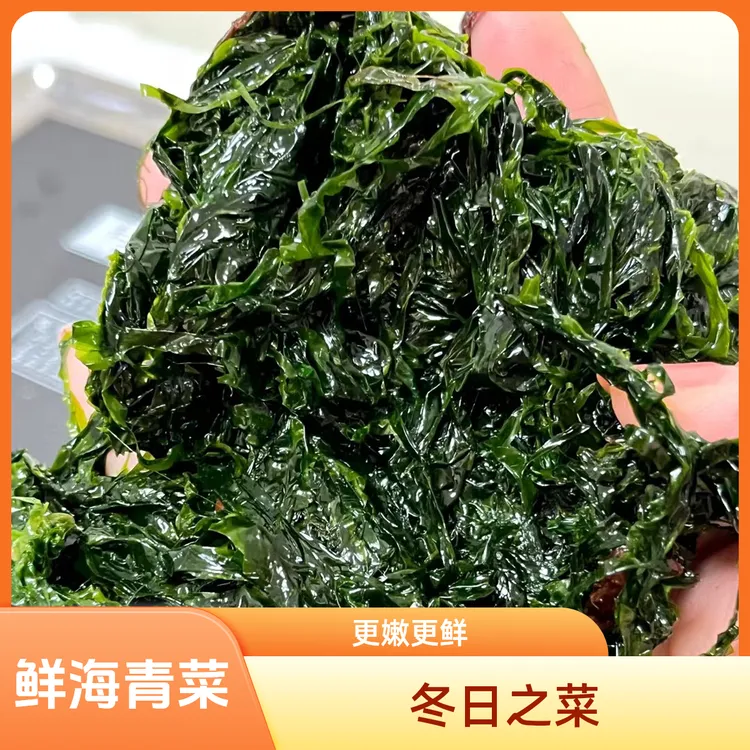鲜海青菜，海绿菜，海白菜，冬天的菜更鲜更嫩