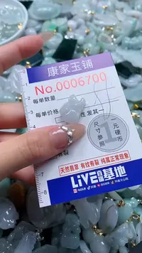 翡翠未镶嵌吊坠(不含链)6700