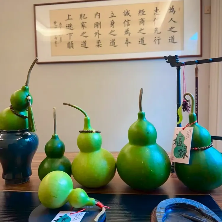 【云南高山葫芦】 可观赏闻香食用清供
