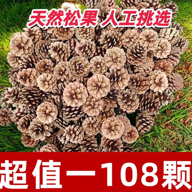 超值天然松塔]幼儿园手工DIY 小学生环创材料 圣诞松果装饰