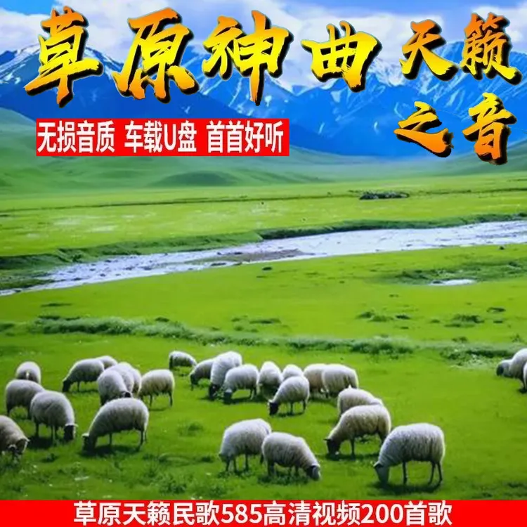 经典草原情歌汽车载U盘天籁之音草原歌曲大全蒙古歌曲mp3无损音质