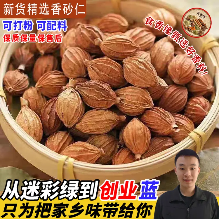 香砂颗粒川砂仁沙仁金砂仁干货火锅卤肉卤菜香料可磨粉炒菜精选