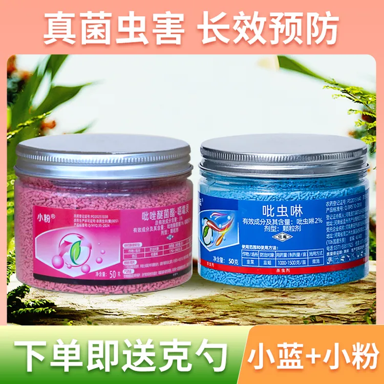 【粉丝福利】小蓝小粉组合多肉花卉绿植船长花园颗粒养护套餐种植