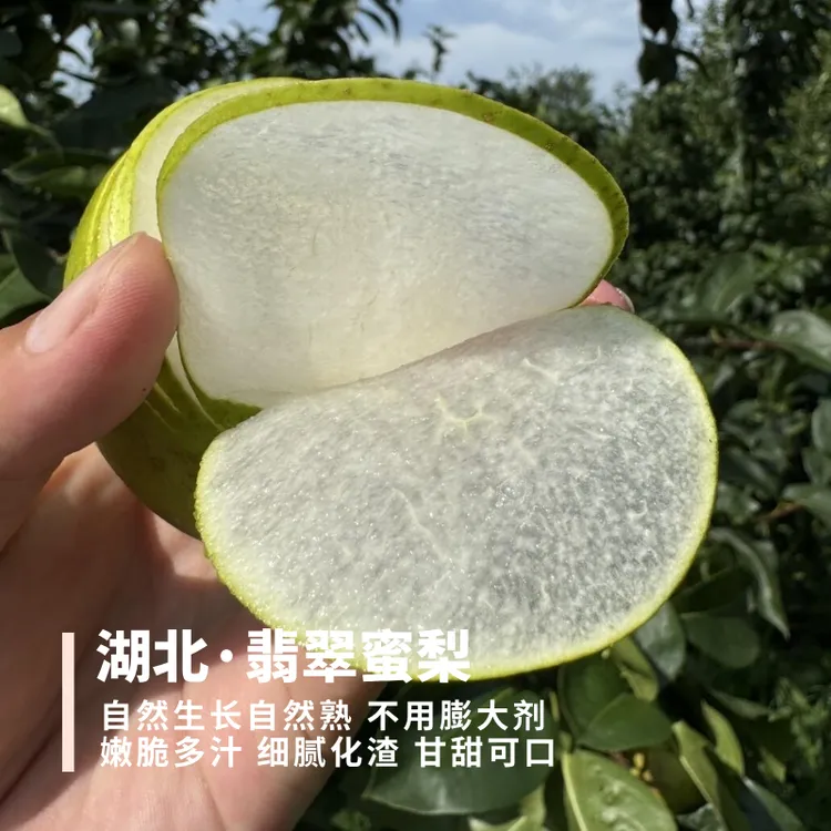 翡翠蜜梨 不膨大更蜜香 酥脆多汁甜度风味更好 冷藏后削皮吃4.5斤