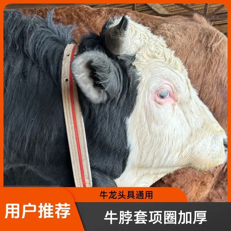 加厚牛脖套栓牛脖套牛项圈牛羊脖套通用育肥牛犬用项圈