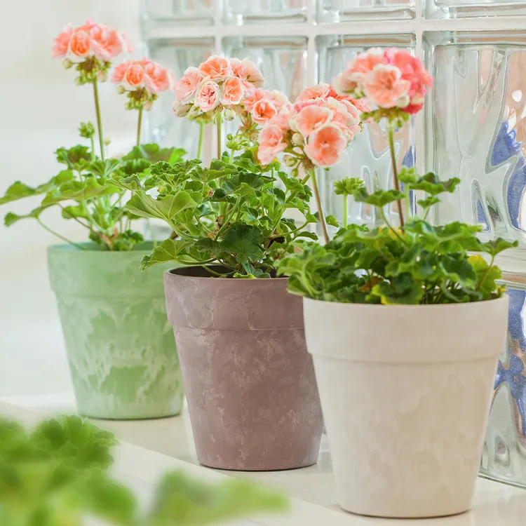 嘉伯瑞新亚伊陶瓷仿石好看透气养花专用蝴蝶兰多肉花盆石头花盆