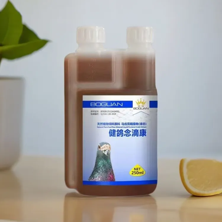 搏冠健鸽念滴康毛滴虫念珠菌霉菌呼吸道四效合一新疆包邮